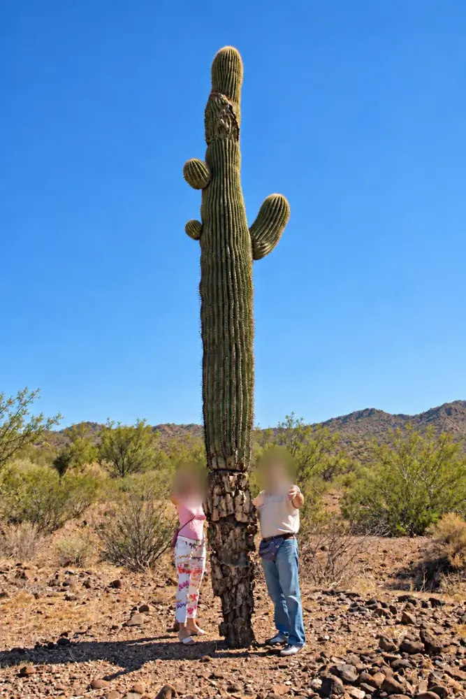 Viaggio in Arizona, USA – Shamana Travel