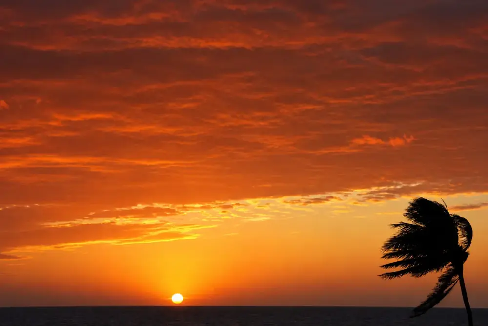 Viaggio in Mare – Shamana Travel