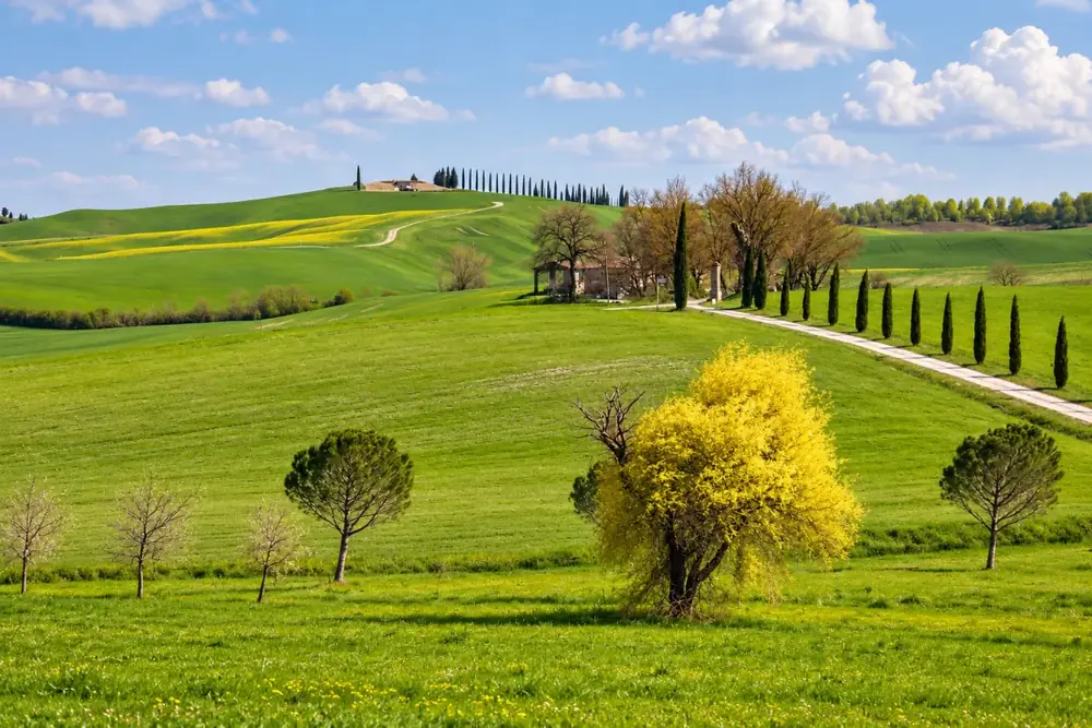 Viaggio in Toscana – Shamana Travel