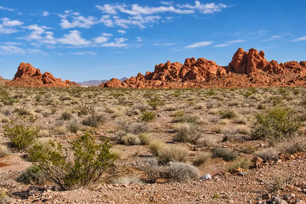 Viaggio in Nevada, USA – Shamana Travel