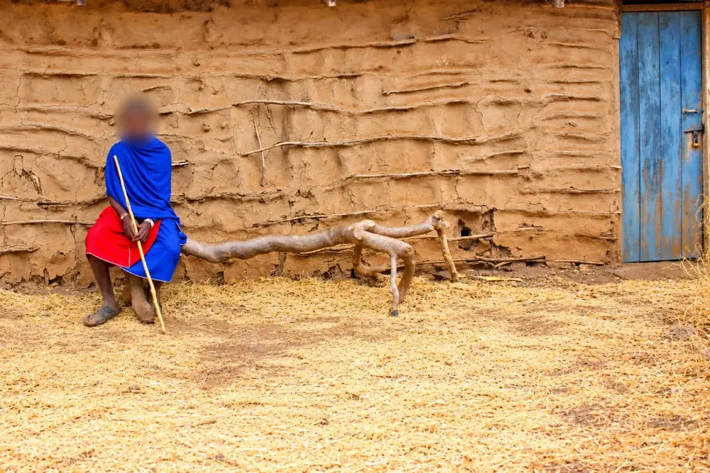 Viaggio in Kenya e Tanzania – Shamana Travel